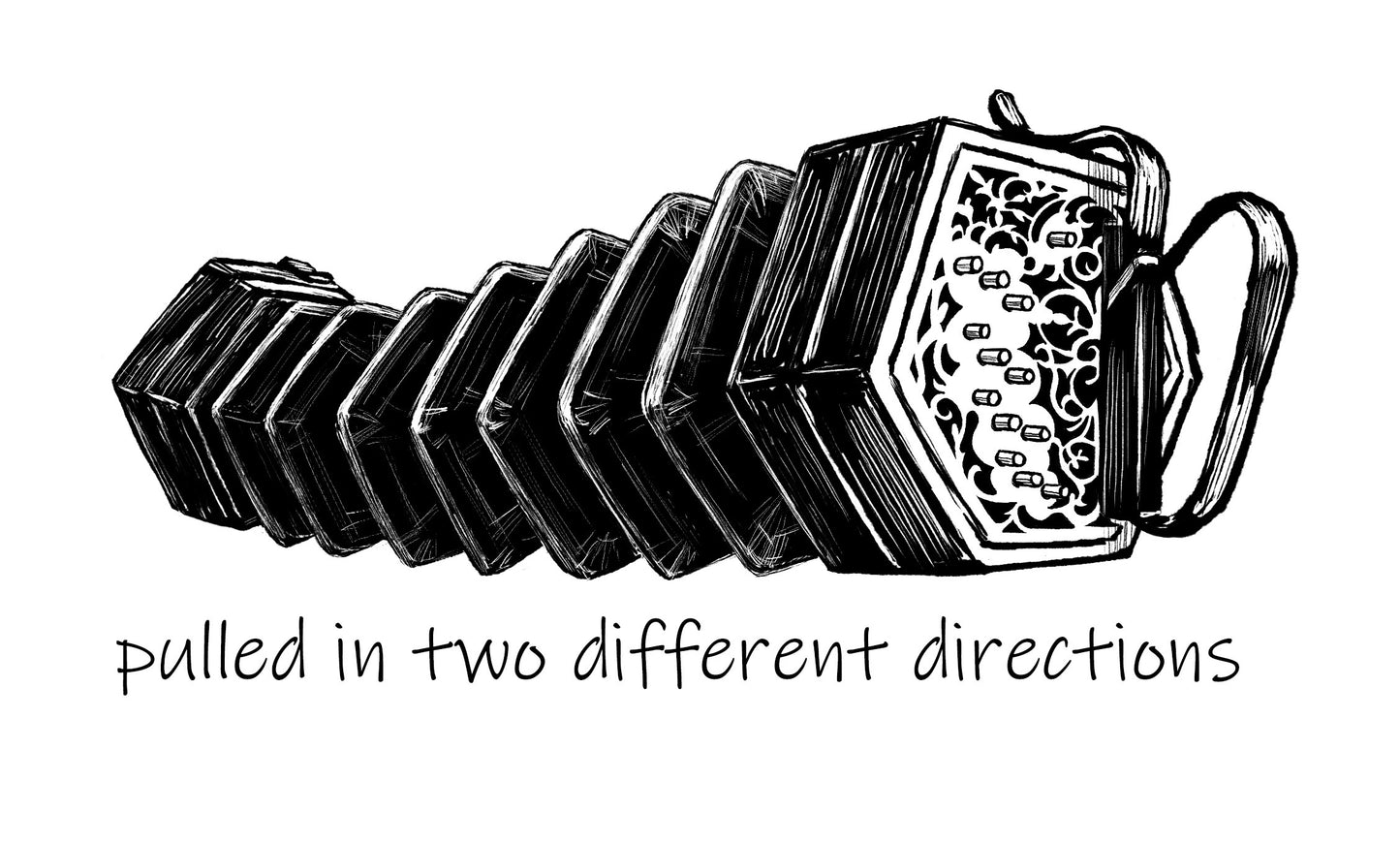 Concertina Pulled