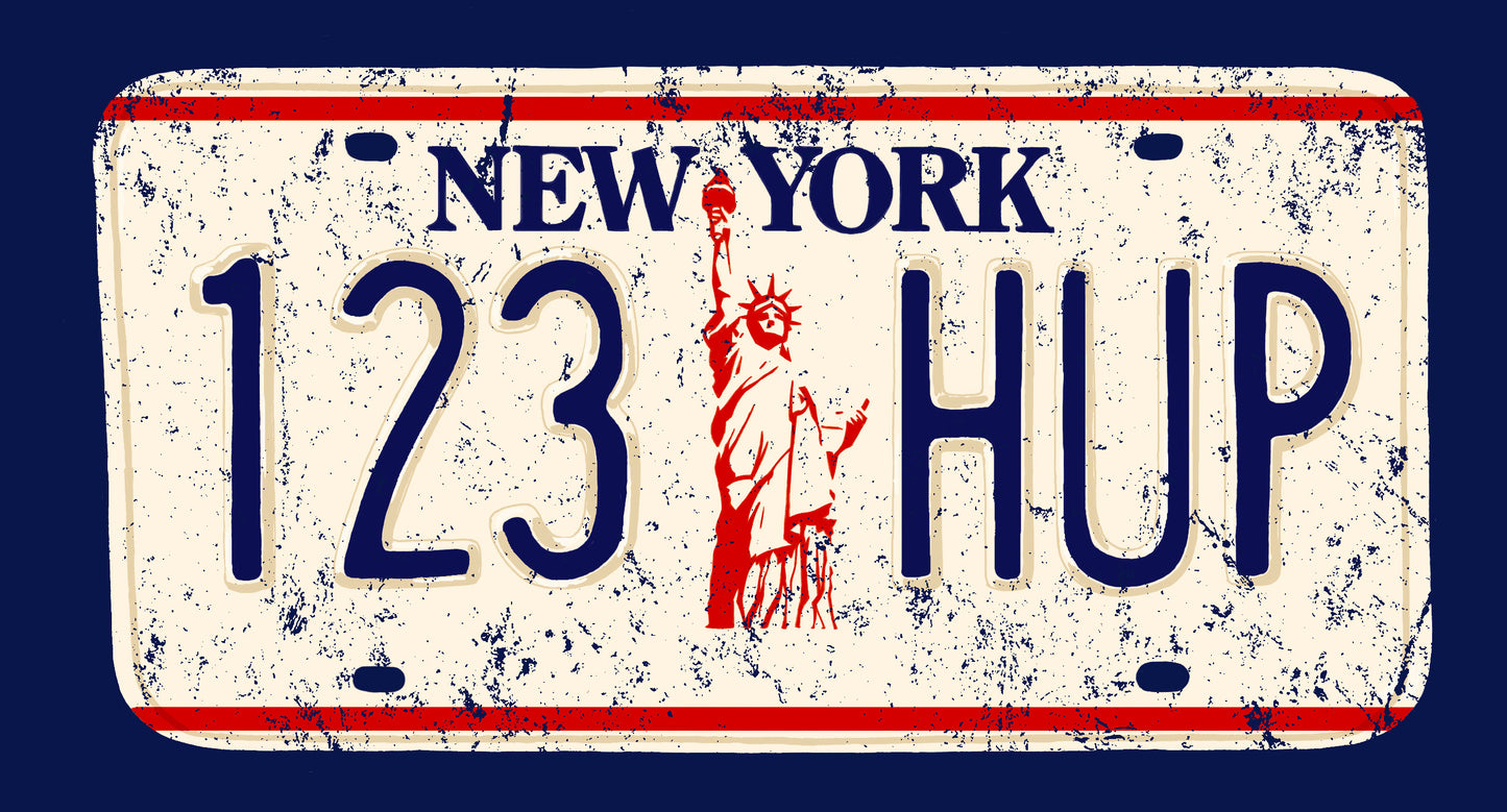 License Plate NY